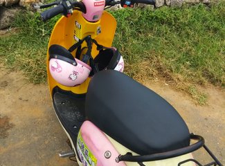 两个理科女子充满逻辑性的国庆台湾游