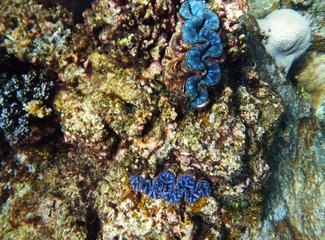 热浪岛当地旅游团,热浪岛浪中岛双岛游