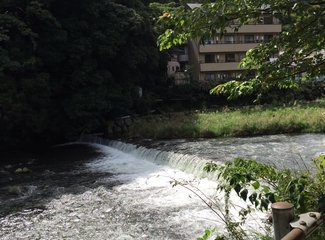 东京河口湖箱根旅游,东京河口箱根