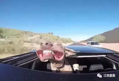 女子一觉醒来发现诡异症状,女子一觉醒来面瘫