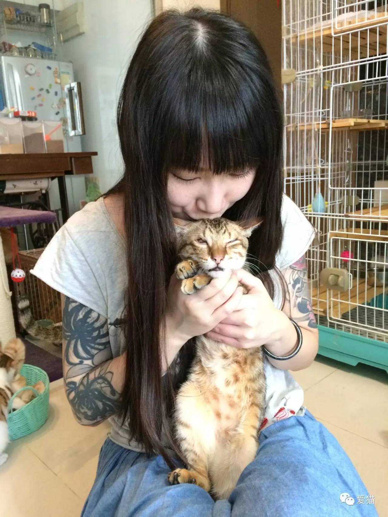 她纹身但她是个好女孩，照顾了20只没人愿意领养的残疾猫咪！