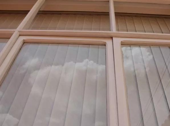 家里老鼠多灭老鼠最好的方法,老鼠怎样消灭