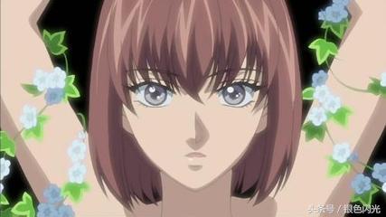 最闪一日——12月29日--圣川真斗、恐龙龙崎、若岛津健等