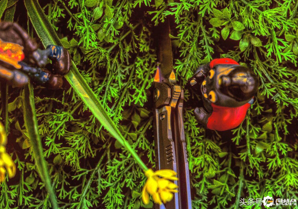 给你来点不一样的最佳战术*刀折**奖得主测评