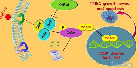 光动力治疗能杀死肺癌肿瘤吗,癌症激光能彻底杀死癌细胞