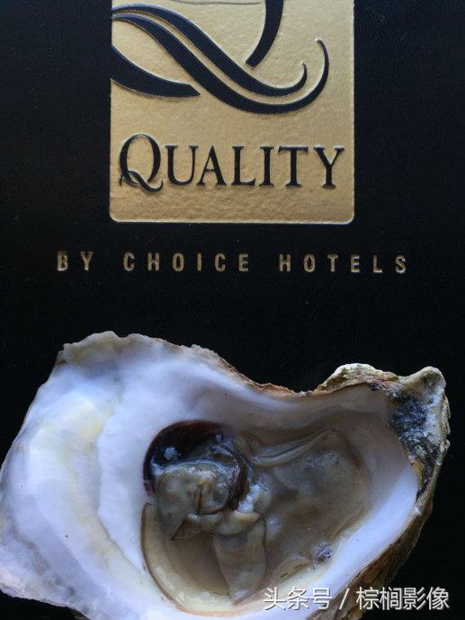 鐖卞痉鍗庣帇瀛愬矝鏈夋病鏈夊畨濡繖涓汉,鐖卞痉鍗庣帇瀛愬矝瀹夊Ξ灏忓眿鍦板潃