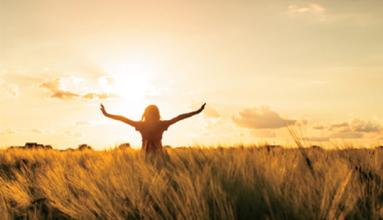 专家多手段治疗再生障碍性贫血,浅谈再生障碍性贫血的治疗