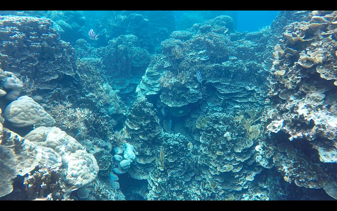 帕劳旅行攻略大全图文,帕劳旅行攻略图文大全