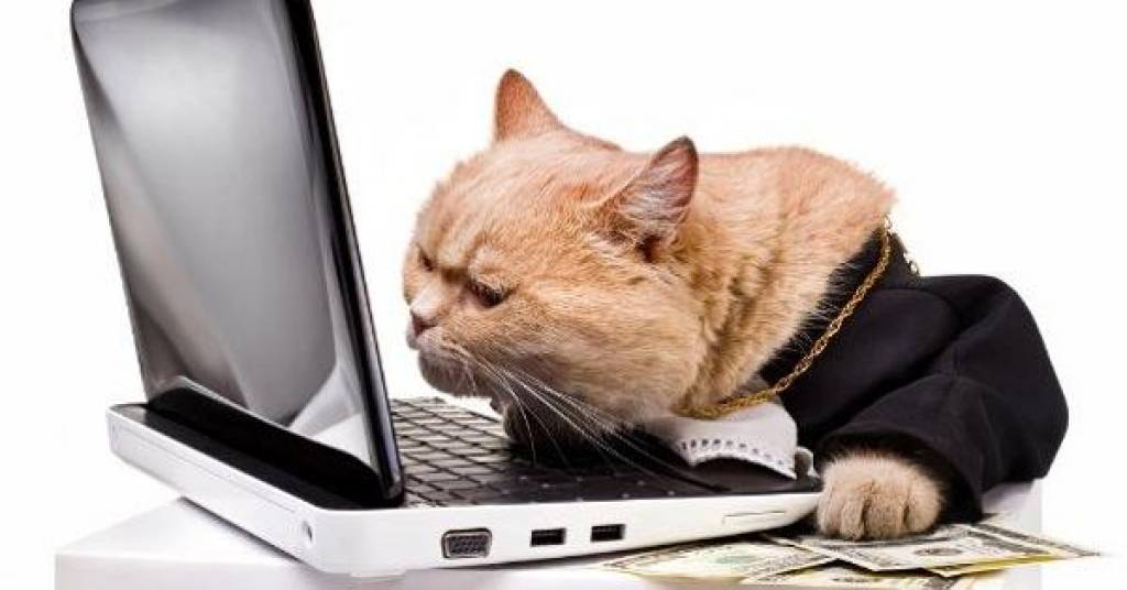 雅虎股票最大涨幅,雅虎怎么倒下去的