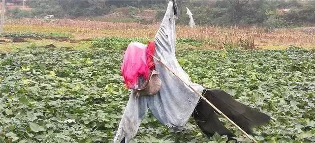 捐衣服给贫困山区被嫌弃,捐赠衣服被抓怎么处理