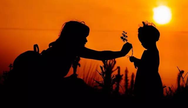 从零开始做淘宝客实操干货,怎样把淘宝客做到爆款