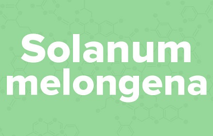 apple苹果的英语是什么,苹果的英语为什么是anapple