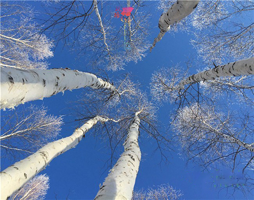 漠河神秘景区,与俄罗斯隔河相望