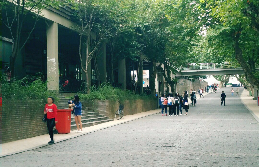 遇见南艺——关于爱与行走和青春