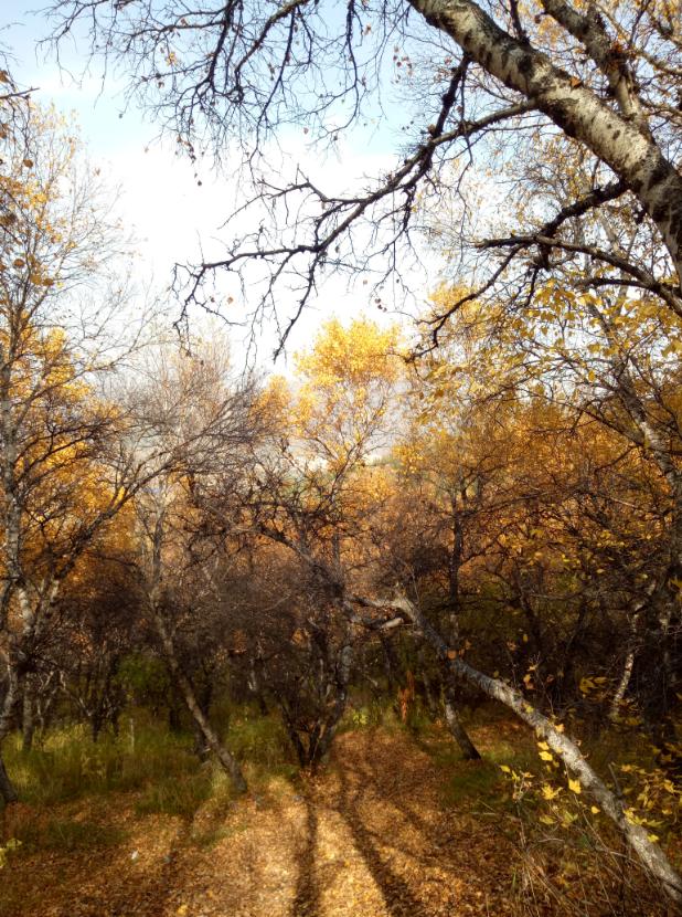 张北天路行,深度还原张北天路