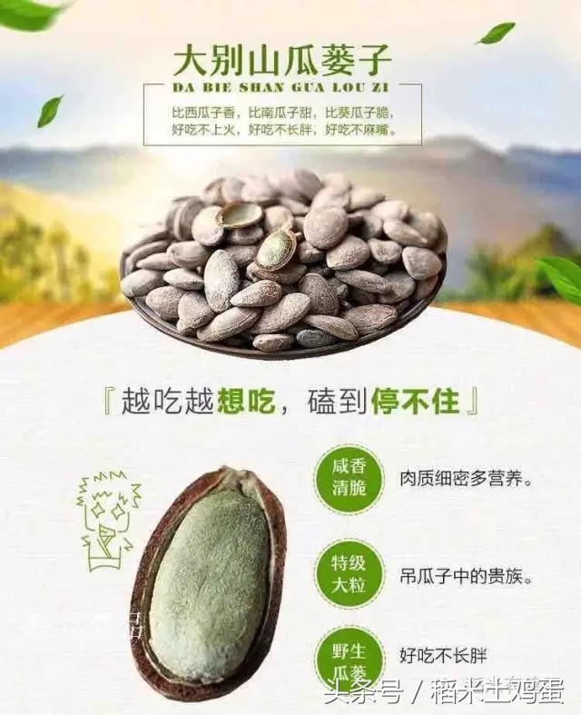 香甜可口的瓜子,年味不一样的滋味