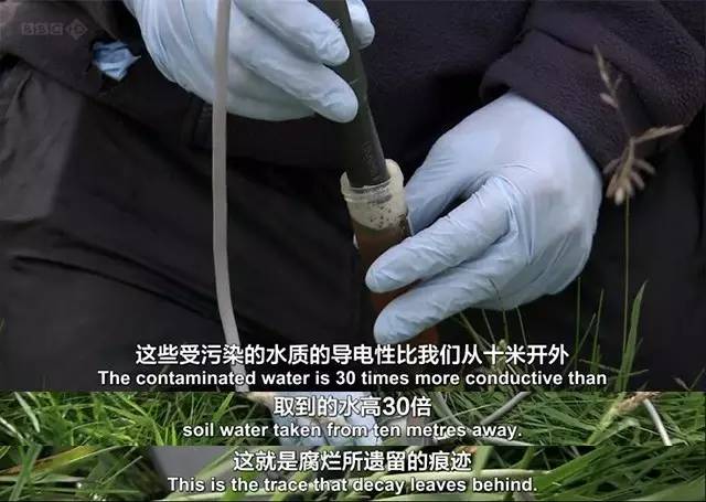 只有BBC才拍得出这么腐的片