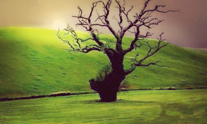 淡然于怀、素然于心、静然于世，心无尘，自清净