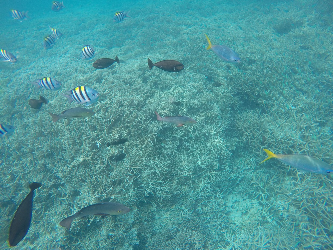 帕劳旅行攻略大全图文,帕劳旅行攻略图文大全