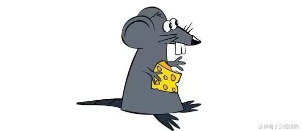 补钙的奶酪是哪种最好,补钙奶酪