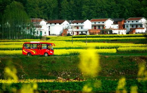 农村最吃香的10个行业,农村常见的职业排名