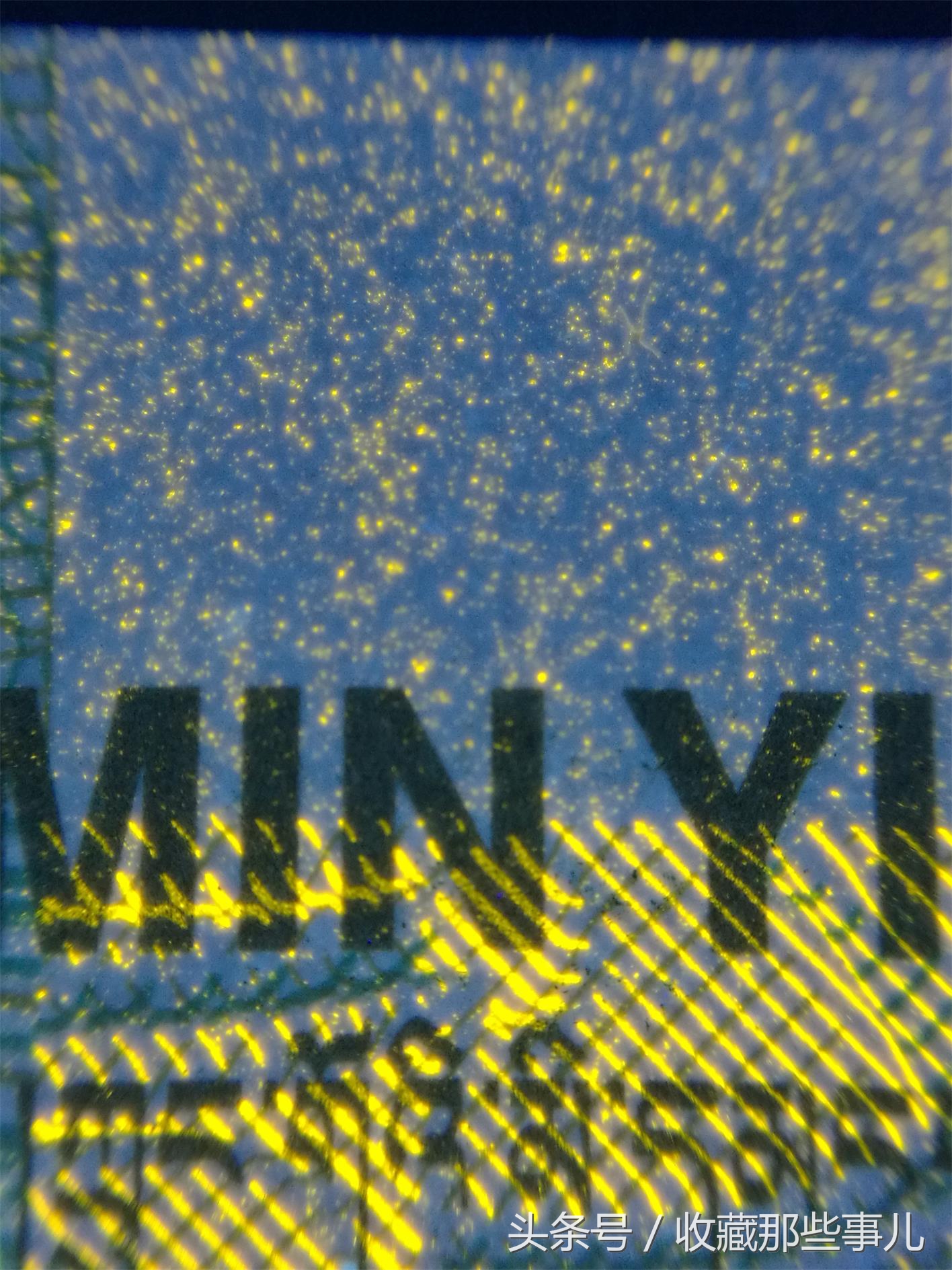 991背金沙荧光币,991荧光品种