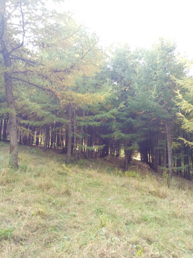 张北天路行,深度还原张北天路