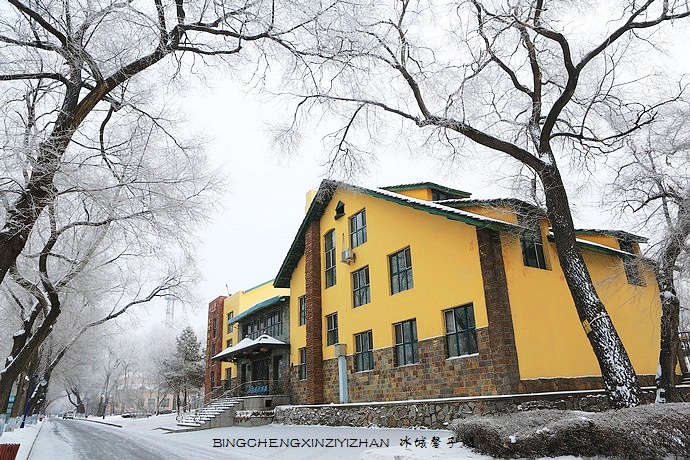 哈尔滨太阳岛的冬天照片,哈尔滨太阳岛的冬天有多美