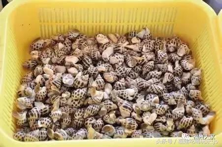 福建十大公认最好吃的菜,福建海鲜美食排行榜前十名