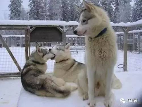 有了它用手机也能拍出电影感,有了它的手机也可以插u盘