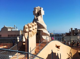 法兰西板鸭,板鸭西班牙语