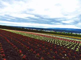 人在美途民族风旅拍,人在美途