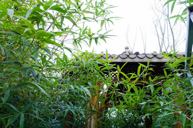 一个长得像李小龙的男人，在长泰一村子里，建了个千与千寻的奇幻世界