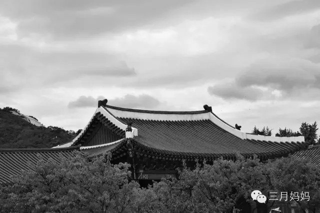 带着七个月的宝宝环游中国一圈,带宝宝自驾环游世界路线