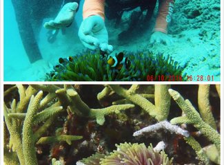 热浪岛当地旅游团,热浪岛浪中岛双岛游