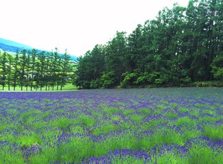 人在美途民族风旅拍,人在美途