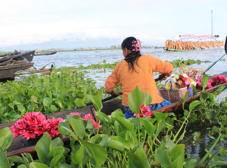 2015年的缅甸旅游,缅甸国庆旅游