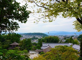 11月京都红叶游记,京都红叶两日游