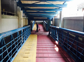 香港旅游攻略100条,探秘香港生活