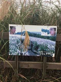 与游轮的亲密接触：精致邮轮千禧号,日韩线）内附有8090后游轮游正确打开方式专业摄影美图