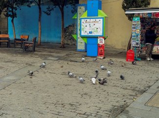 你好，色彩！Hola，España！（伊比利亚19城，卡斯蒂亚、安达卢西亚、巴斯克、加泰、葡萄牙，更新完成）