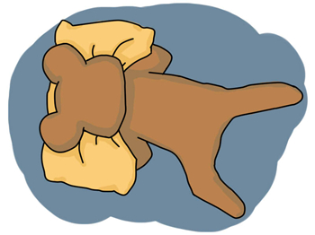 小bb腿纹不对称,腿横纹不对称就是有问题吗