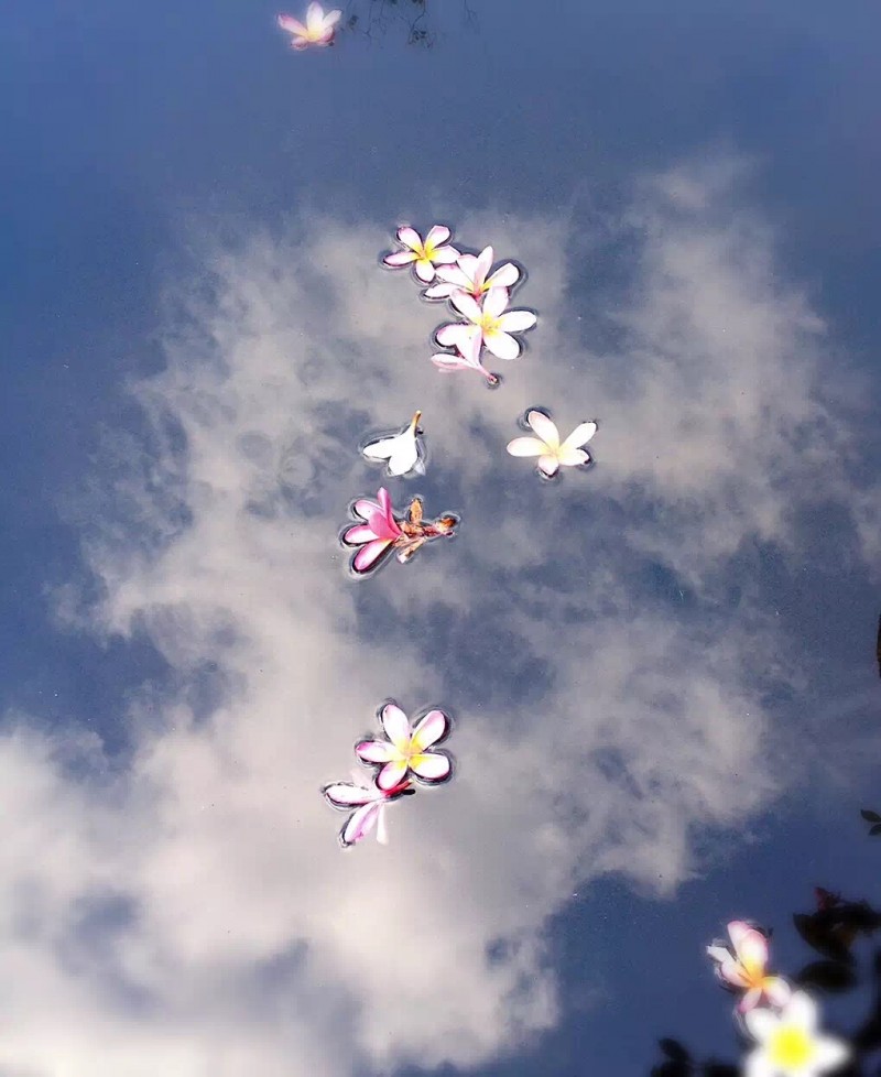 遇见|云的间隔年:她尝遍了每个异乡限时赠送的糖