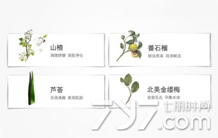 娇韵诗黄水和绿水,娇韵诗黄水和橙水区别