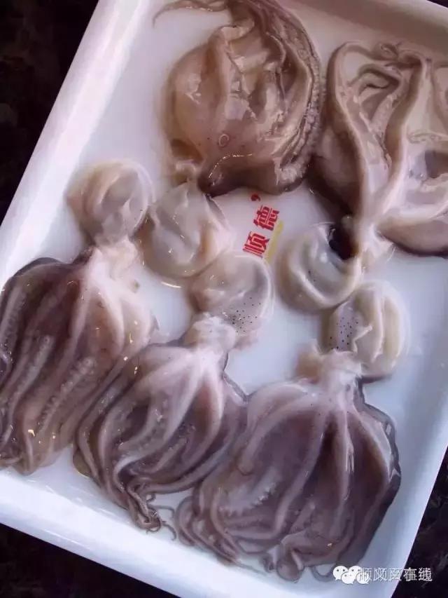 彤顺德海鲜火锅2017会员更多新福利！