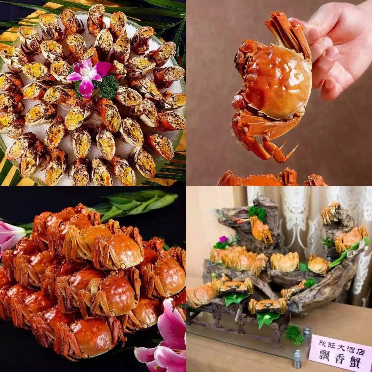 无锡餐厅人气榜第一名,无锡附近吃货排行榜