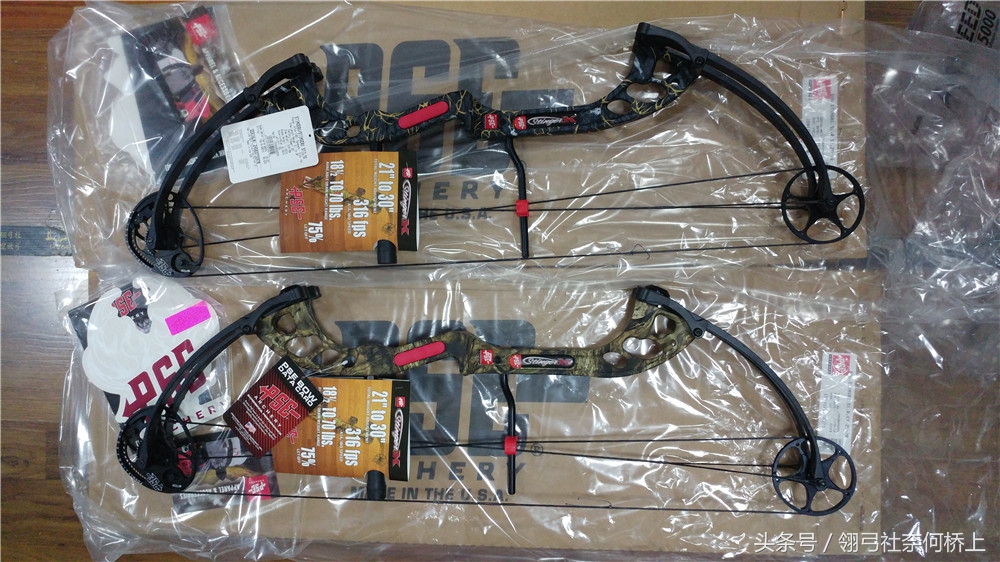 pse针刺复合弓,pse针刺复合弓威力测试