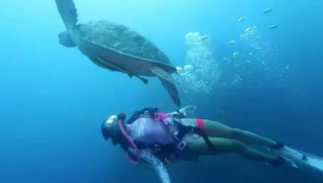 美娜多潜水在什么地方,潜水美娜多取景地