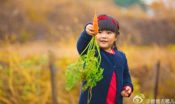 大家对湖南卫视的看法,是吐槽还是赞美呢