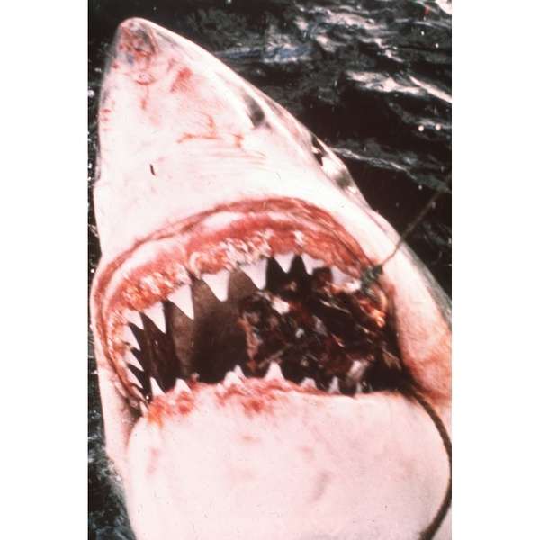 全球十大恐怖禁书改编的电影,根据真实改编的恐怖电影